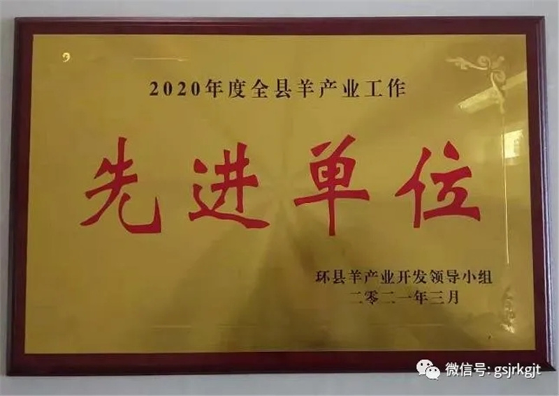 甘肅金控慶陽擔(dān)保公司獲2020年度環(huán)縣全縣羊產(chǎn)業(yè)工作先進(jìn)單位稱號(hào)